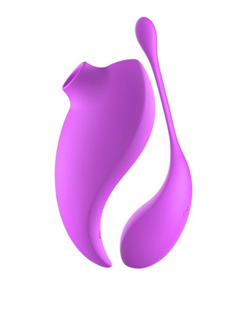 Ensemble 2 en 1- Stimulateur clitoridien à distance Violet - USB Ensemble 2 en 1- Stimulateur clitoridien à distance Violet - USB