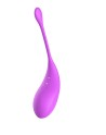 Ensemble 2 en 1- Stimulateur clitoridien à distance Violet - USB