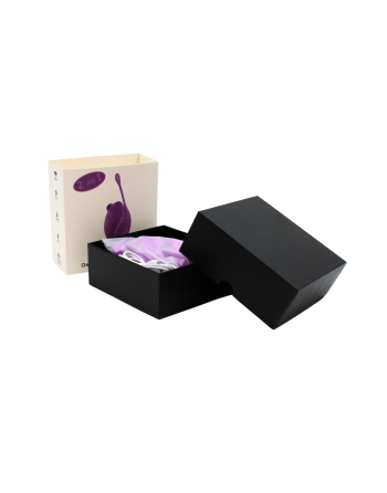 Ensemble 2 en 1- Stimulateur clitoridien à distance Violet - USB