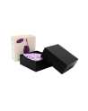 Ensemble 2 en 1- Stimulateur clitoridien à distance Violet - USB