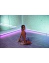 Bouncer - Dildo - Violet Flashy